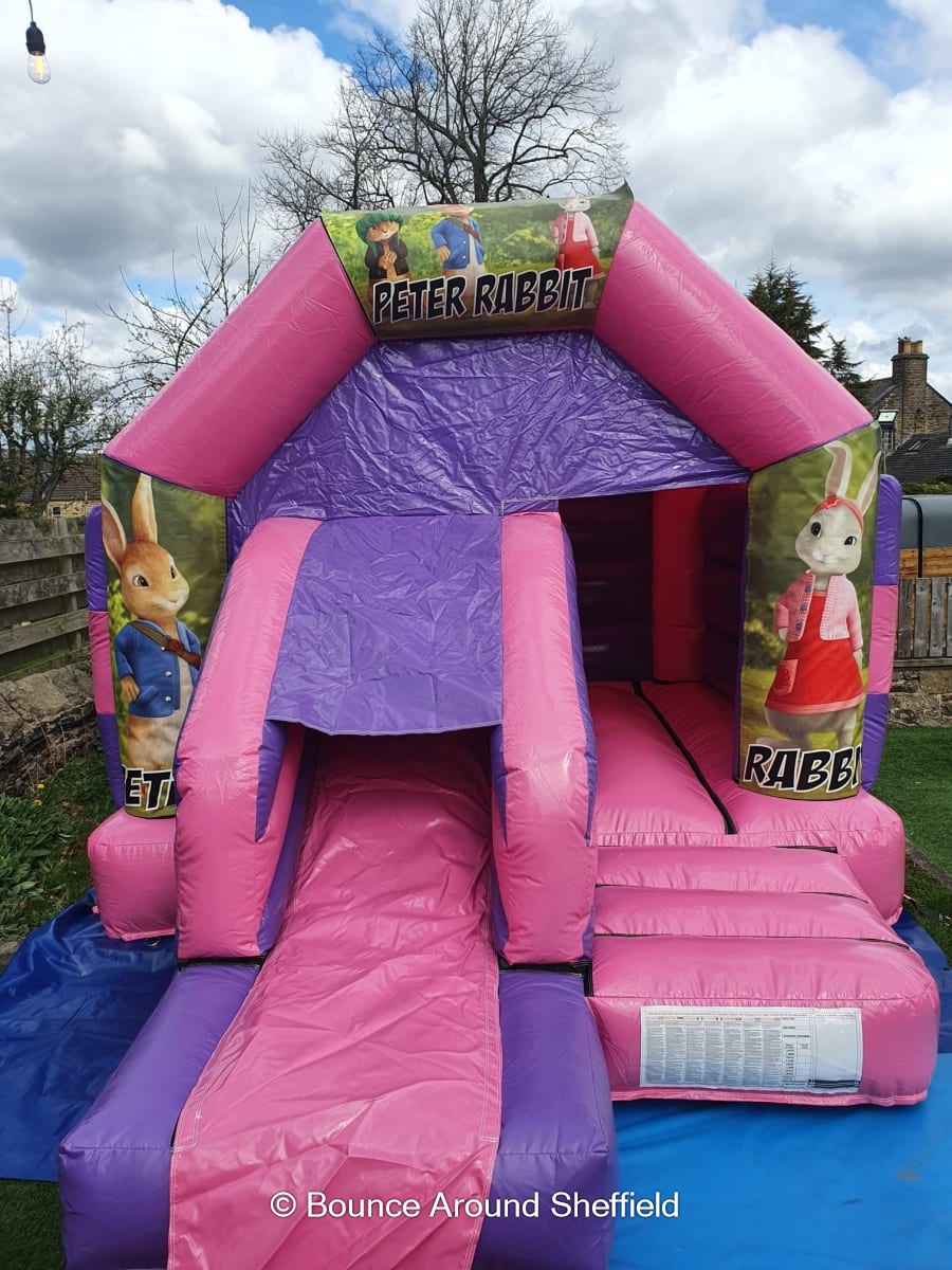 Bouncy Castle & Inflatable Slide Hire